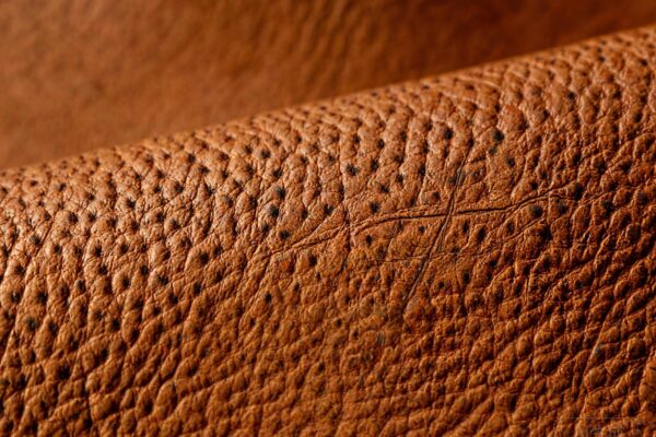grain leather is real leather featured